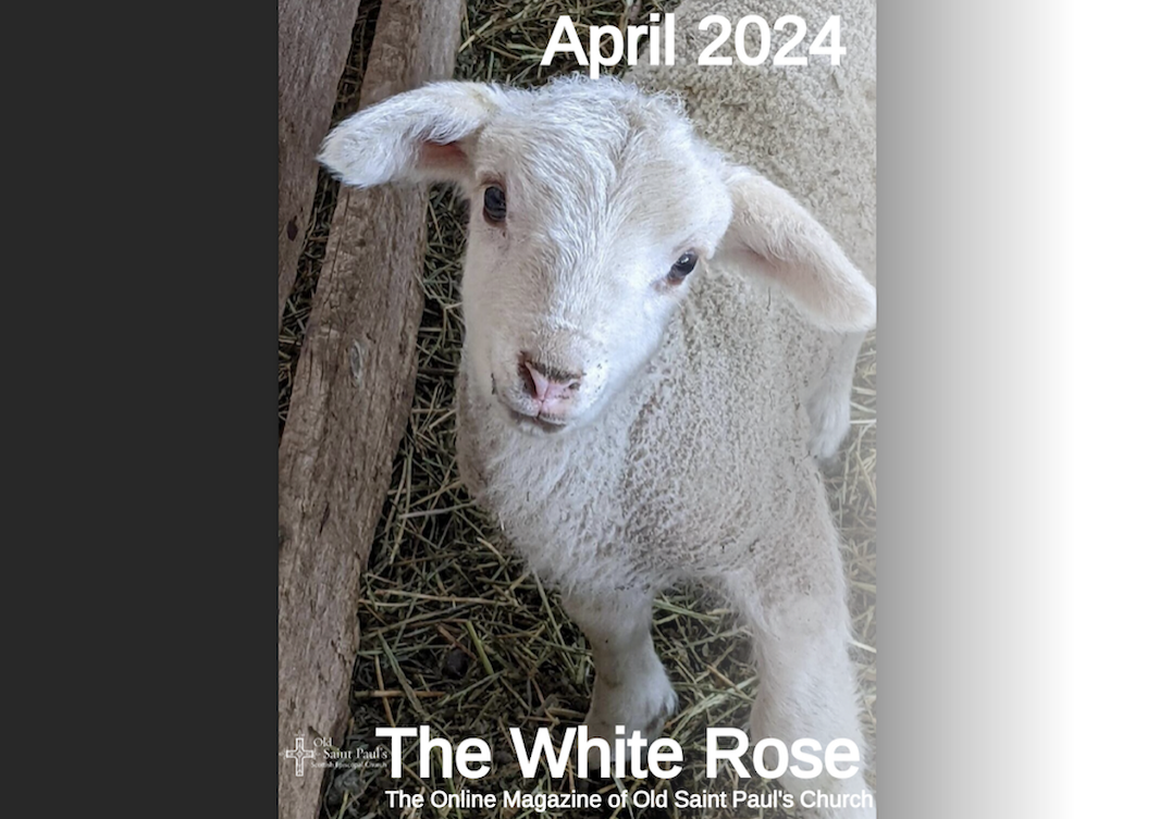 Cover Page of White Rose 2024